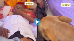 मालिक की जुदाई नहीं सह पाया कुत्ता, डेडबॉडी से लिपटकर खूब रोया; वायरल वीडियो देख आ जाएंगे आंख में आंसू