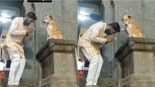 Dog Shocking Viral Video, Shocking Viral Video, Viral Video