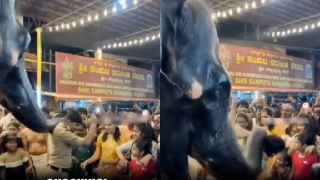 Elephant Attack Viral Video, Viral Video, Trending Video Elephant Attack Viral Video, Viral Video, Trending Video