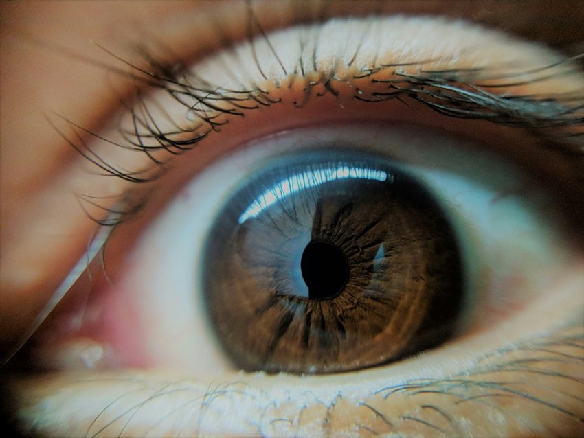 Eyes' Cornea