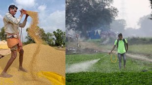 farmer uttar pradesh
