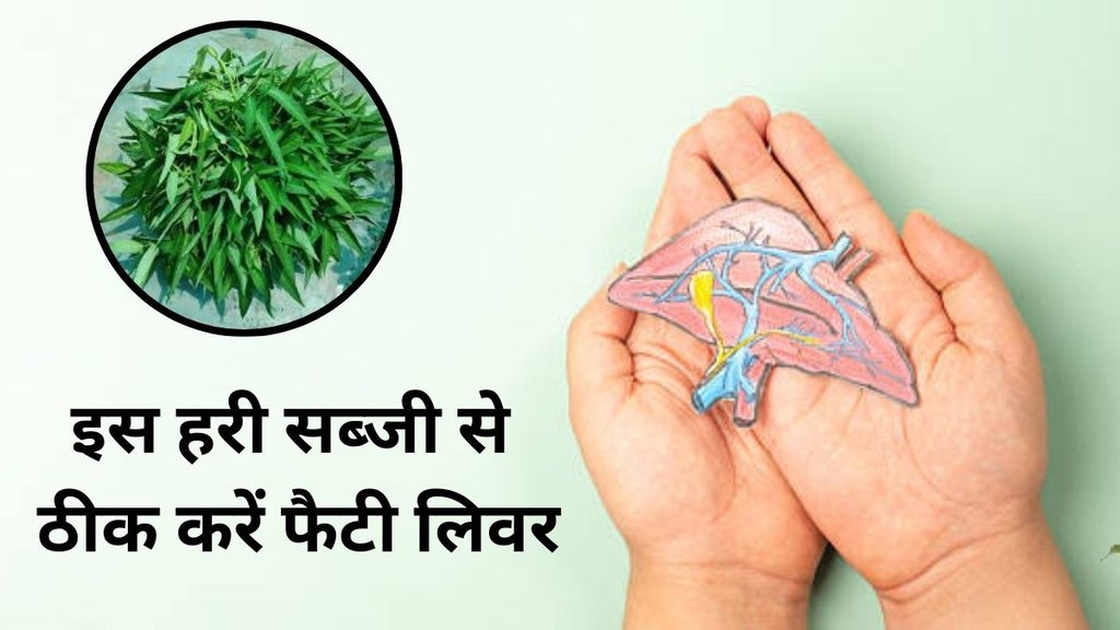 health tips, health tips for winter, kutai saag benefits, fatty liver, hemoglobin, kutai ke fayde in hindi, kutai benefits for fatty liver, fatty liver control tips, फैटी लिवर, फैटी लिवर कंट्रोल, कुटई साग, कुटई के फायदे, fatty liver control natural remedy, liver health ke liye kutei saag, fatty liver diet in hindi, liver detox natural foods, कुटई का साग खाने के फायदे, liver ko healthy rakhne ke upay, fatty liver ayurvedic treatment, फैटी लिवर कंट्रोल करने के लिए कुटई का साग कैसे खाएं, liver ke liye green leafy vegetables, फैटी लिवर के लिए कुटई का साग, Kutei saag for fatty liver, Liver health improve karne ke tarike, Kutei saag benefits for liver health tips, health tips for winter, kutai saag benefits, fatty liver, hemoglobin, kutai ke fayde in hindi, kutai benefits for fatty liver, fatty liver control tips, फैटी लिवर, फैटी लिवर कंट्रोल, कुटई साग, कुटई के फायदे, fatty liver control natural remedy, liver health ke liye kutei saag, fatty liver diet in hindi, liver detox natural foods, कुटई का साग खाने के फायदे, liver ko healthy rakhne ke upay, fatty liver ayurvedic treatment, फैटी लिवर कंट्रोल करने के लिए कुटई का साग कैसे खाएं, liver ke liye green leafy vegetables, फैटी लिवर के लिए कुटई का साग, Kutei saag for fatty liver, Liver health improve karne ke tarike, Kutei saag benefits for liver