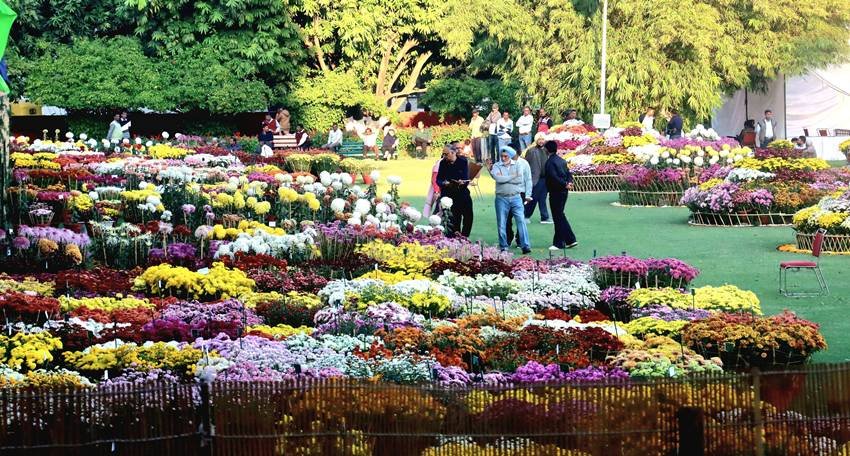 agriculture courses after 12th