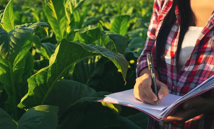 career in agriculture sector