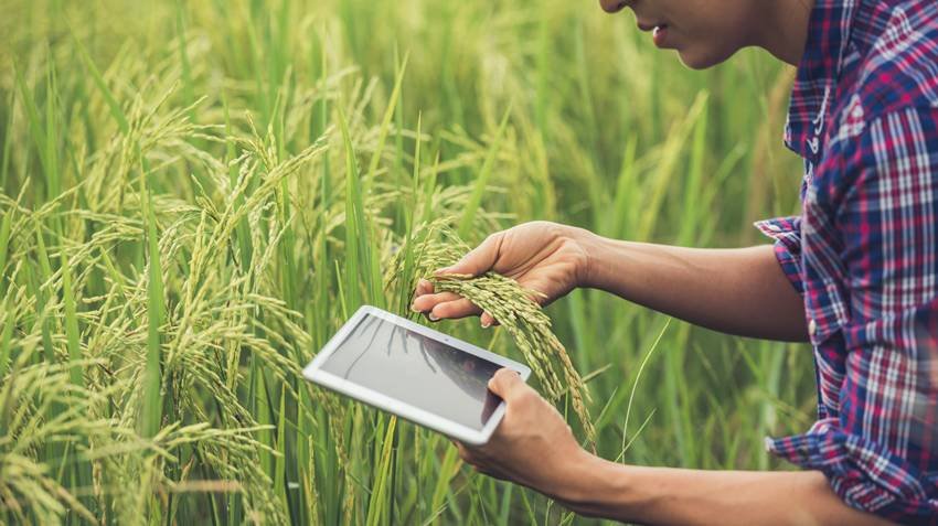 best BSc agriculture related courses