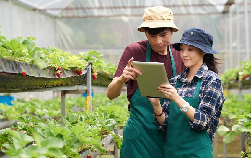 professional courses in agriculture