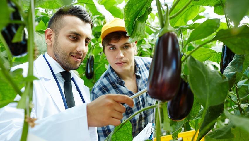 top agriculture courses