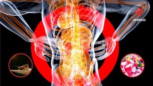 Foods You Should Limit to Protect Your Body Organs