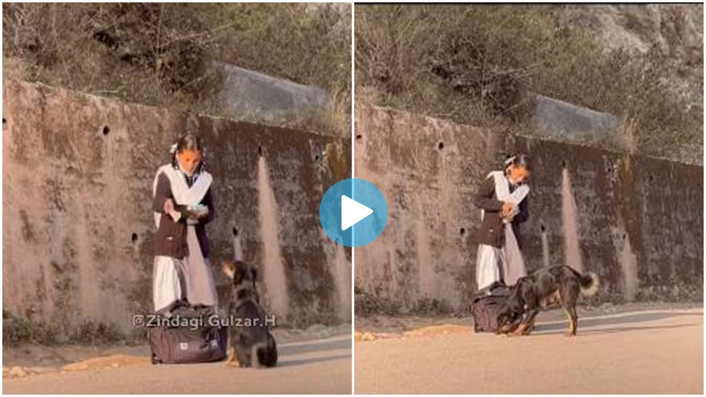 Viral Video, Girl Share Lunch With Dog, Video Viral, Viral Video, Girl Share Lunch With Dog, Video Viral,