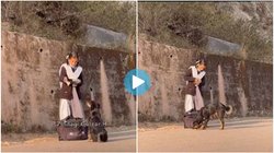 स्कूल जा रही लड़की ने कुत्ते के लिए खोल दिया अपना लंच बॉक्स, खिला दिया सारा खाना; लोगों ने भर-भरकर दिया प्यार