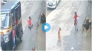 Viral Video, Trending Video, Girl fell Down,