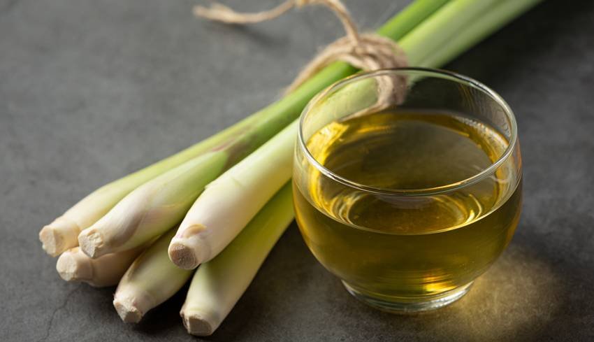 lemongrass for long hair