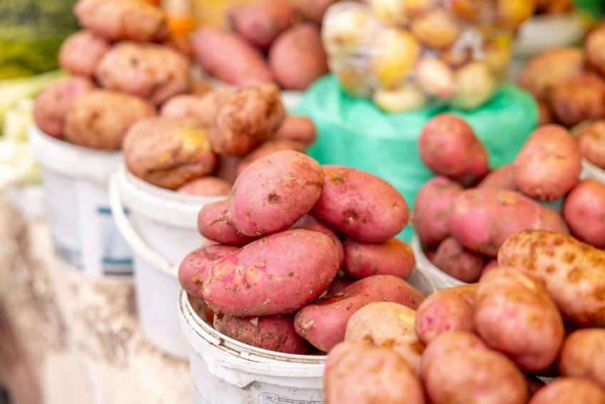Health benefits of red potatoes