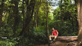 Importance of helping, Mental Health, Humanity