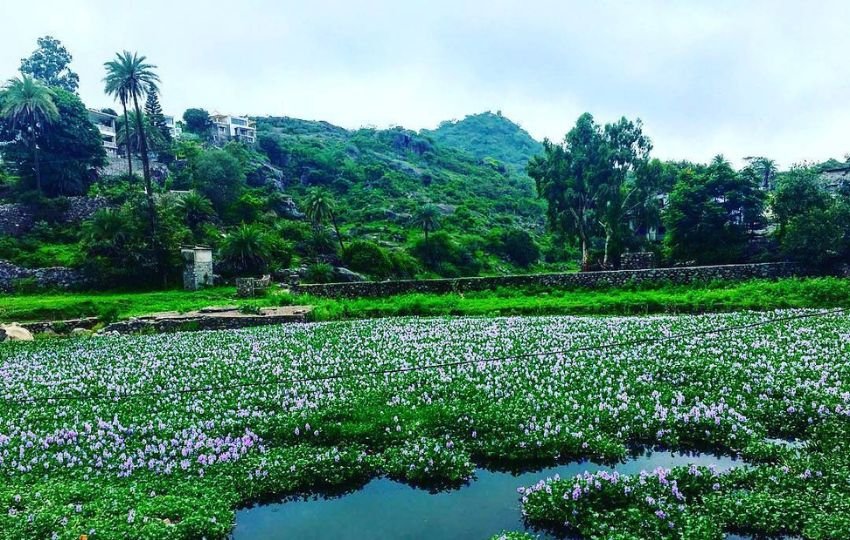 Minerals found in Aravalli range