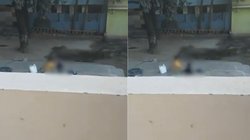 थप्पड़ मारे, गला दबाया, जमीन पर दे मारा सिर… 4 साल की बच्ची पर नैनी ने किया हमला, Video Viral होने पर हुई गिरफ्तार