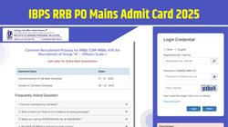 IBPS RRB PO Mains Admit Card 2025 Out: आईबीपीएस आरआरबी पीओ मेन्स एडमिट कार्ड ibps.in पर जारी, इस Direct Link से डाउनलोड करें हॉल टिकट