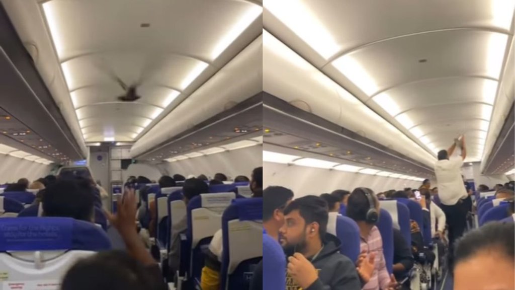 Indigo Flight Viral Video, Vira; Video, Viral News Indigo Flight Viral Video, Vira; Video, Viral News