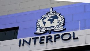 Interpol Red Notice, Interpol Explained, Fugitive Assets Seized