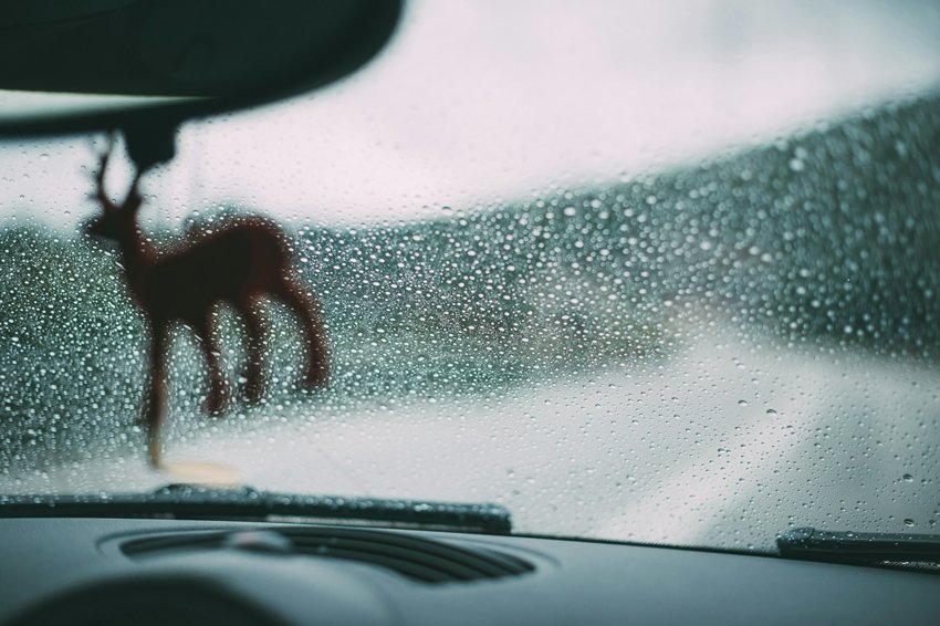 Keep your windows clean and demisted