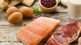 Bihar milk growth, Bihar egg production, Bihar meat production