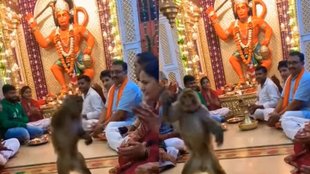 Monkey starts dancing during Hanuman Kirtan in temple devotees call it a miracle.