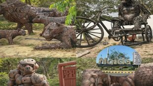 Noida Jungle Trail park