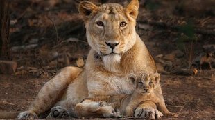 Oxford Research | latest news |