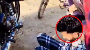 JAMMU KASHMIR, KASHMIR, VIRAL VIDEO