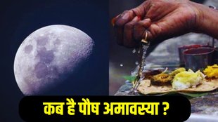 Paush Amavasya 2025 Date, kab hai Paush Amavasya