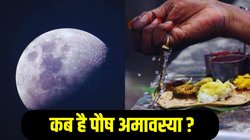 Paush Amavasya 2025 Date: 19 या 20 दिसंबर कब है पौष अमावस्या? जानिए तिथि, दान-स्नान दान शुभ मुहूर्त और धार्मिक महत्व
