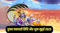 Paush Putrada Ekadashi 2025: संतान प्राप्ति के लिए रखा जाता है पुत्रदा एकादशी व्रत, जानिए तिथि, पूजा का शुभ मुहूर्त और धार्मिक महत्व
