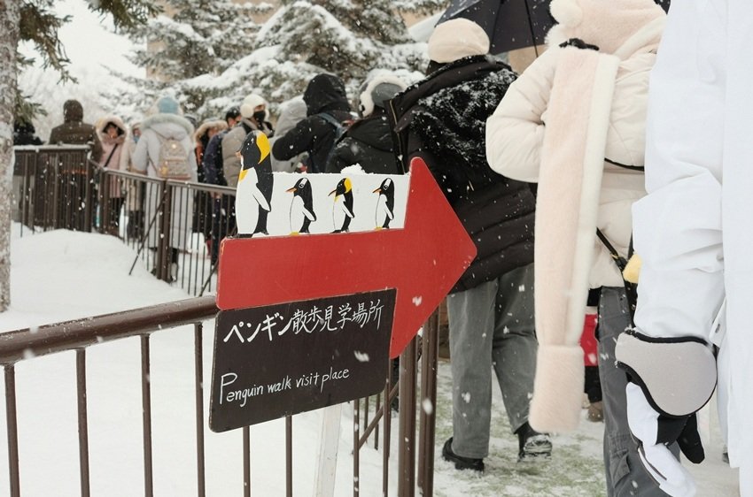 Penguin stress and behavioral changes