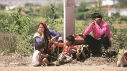 विचार: पौष्टिक भोजन अब भी सपना, 42% लोग खरीद नहीं पाते, आखिर किस दिशा में जा रही है दुनिया?