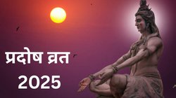 Pradosh Vrat 2025: प्रदोष व्रत के दिन भोलेनाथ की कृपा पाने के लिए पढ़ें ये चालीसा, खुल सकते हैं भाग्य के द्वार
