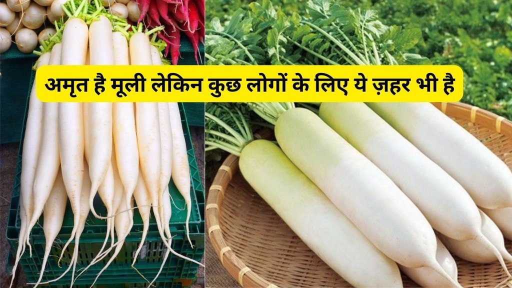 Radish Side Effects,These 5 People Should Stay Away From Radishes,Radish side effects, Disadvantages of radish, Who should avoid radish,Radish health risks,