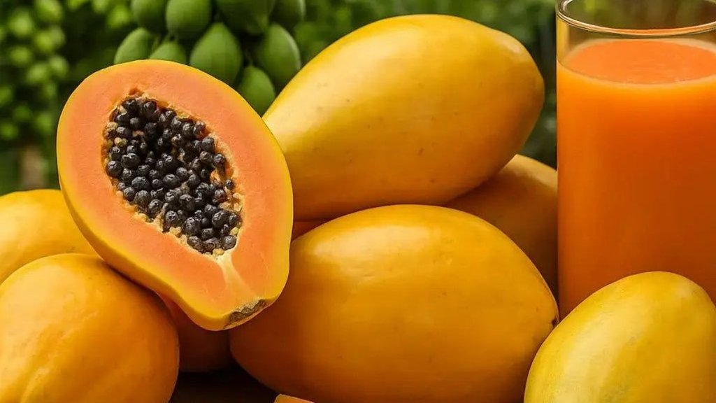 Real And Fake Papaya, How to identify artificially ripened papaya