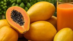 केमिकल वाले पपीते की पहचान कैसे करें? जहर खाने से बचने के लिए फॉलो करें ये 3 टिप्स