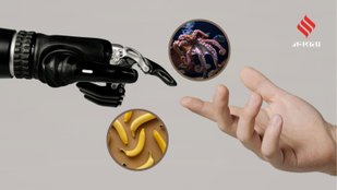 Real Facts That Sound Like Internet Myths