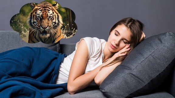 spne ne badh dikhne ka matlab, sapne me tiger dikhne ka matlb, spne me sher dikhna, Dream interpretation, Dream psychology, Dream shastra, Swapna Shastra, Dream Meaning, tiger, tiger in dream, tiger dream, tiger dream meaning, सपने में बाघ, सपने में टाइगर, Lucky dreams, Auspicious dreams, lucky sign in dreams,