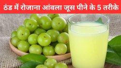 आंवले के जूस का स्वाद नहीं है पसंद तो इन 5 तरीकों से तैयार करें, गटागट पीने लग जाएंगे
