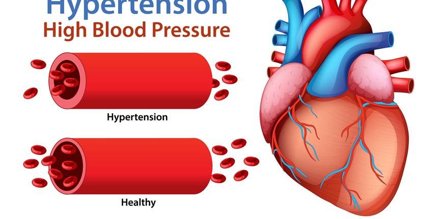 sarson ka saag for digestion