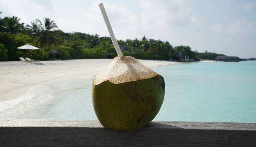 Coconut water for immunity in winter