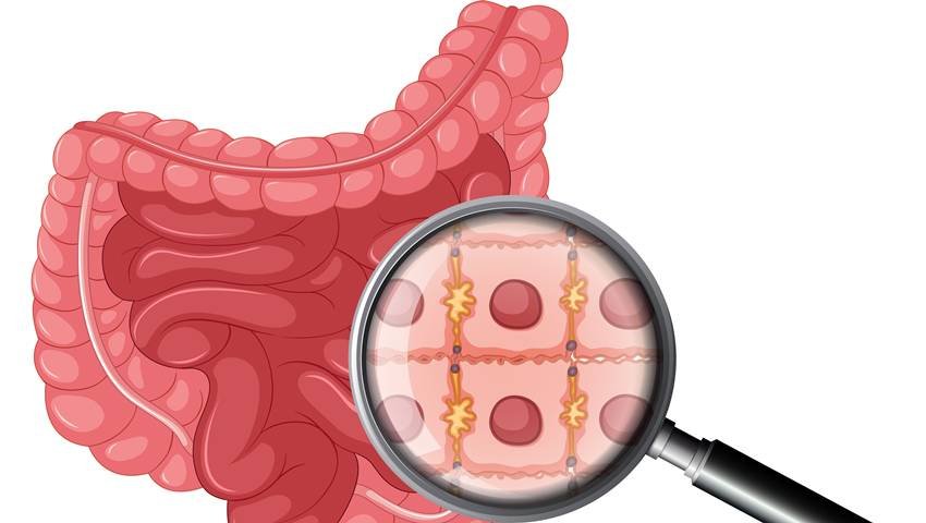 Best time to drink coconut water