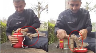Squirrel lunch with man, Squirrel Video Viral, Squirrel viral video, Trending News,