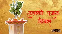 Tulsi Pujan Diwas 2025: कल तुलसी पूजन पर जड़ में अर्पित करें ये एक खास चीज, धन की तंगी होगी दूर, खुल जाएंगे किस्मत के द्वार
