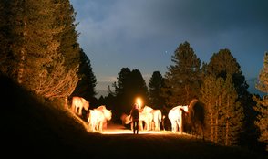 These 10 Animals Are So Weird Scientists Are Still Stumped