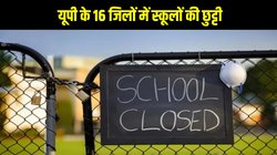 UP School Closed Today: यूपी के 16 जिलों में स्कूलों की छुट्टी, कई जगह समय बदला, घने कोहरे का रेड अलर्ट