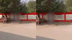 UP Viral Video: रेलवे स्टेशन पर कपल की हरकत देख यात्री हुए पानी-पानी, सोशल मीडिया पर फूटा लोगों का गुस्सा; देखें क्या है मामला