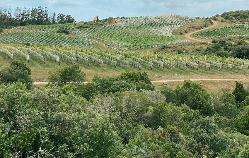 Uruguay agriculture economy